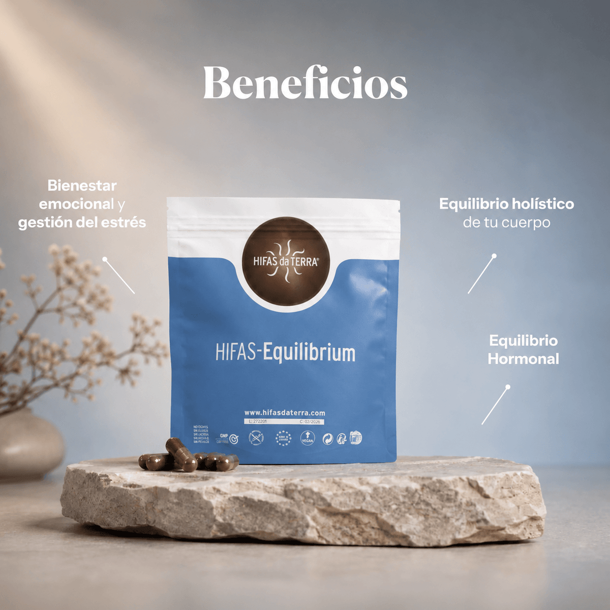 DUO EQUILIBRIO: Equilibrium + Microbiota