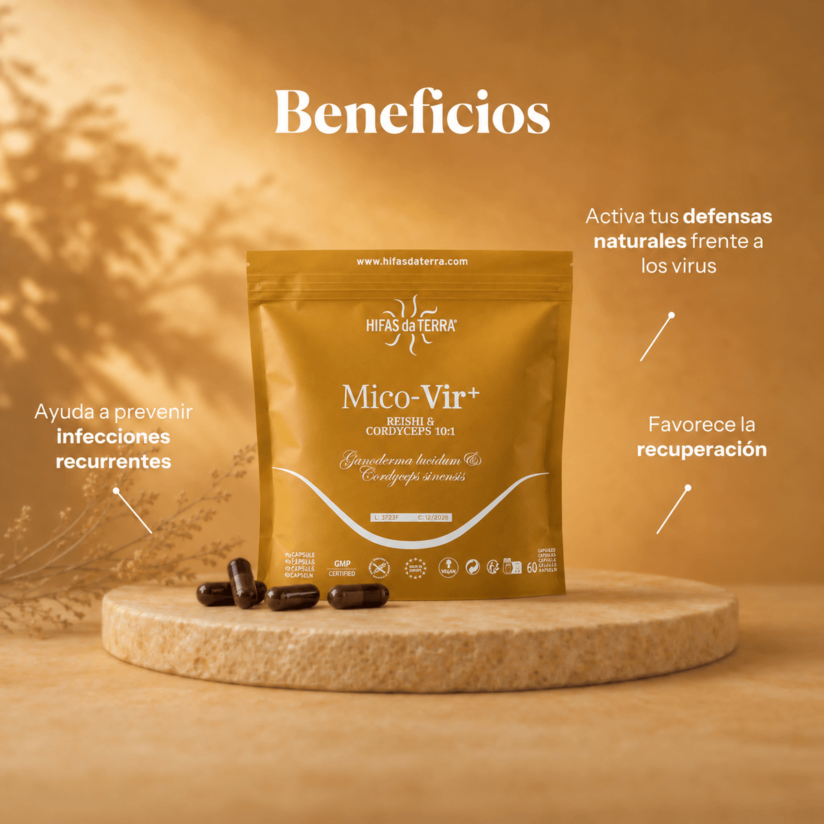 ABWEHR DUO: Mico-Vir + Mico-Leo