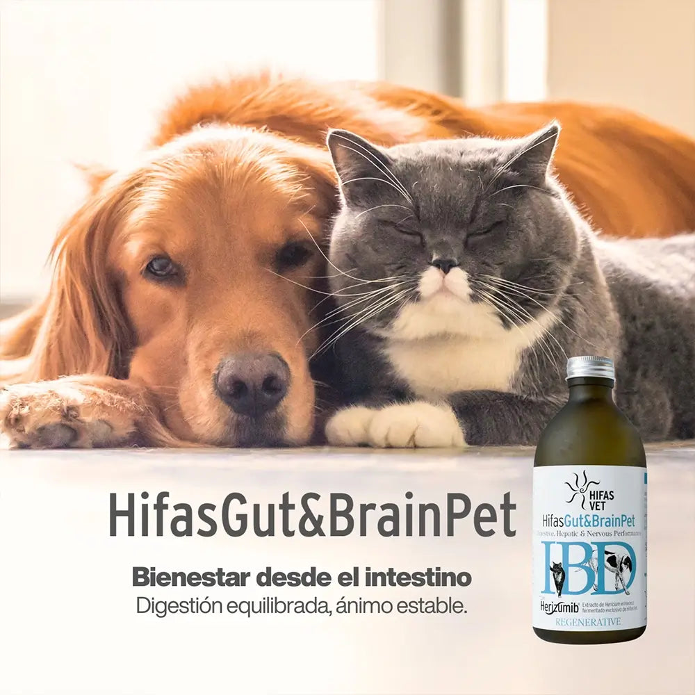Hifas Gut & Brain Pet