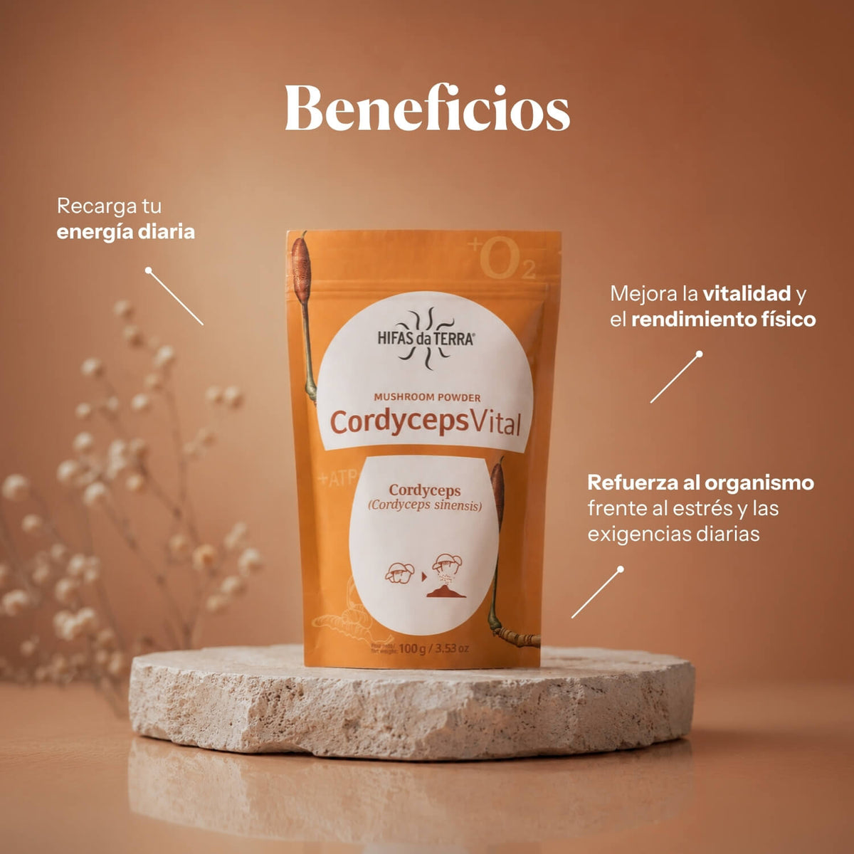 Cordyceps Vital Powder Superfood