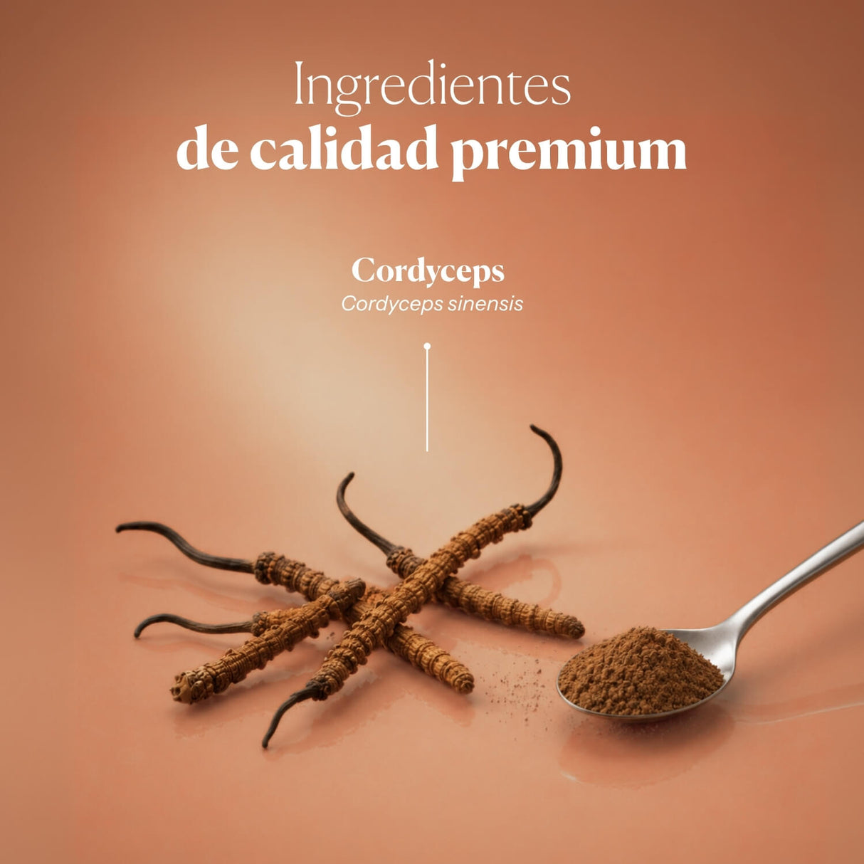 Cordyceps Vital Powder Superfood