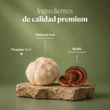 Composición e ingredientes de Dr. GB (Gut & Brain) | Hifas da Terra