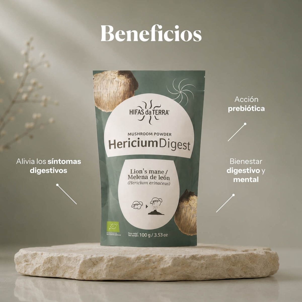 Bienfaits de Hericium Digest : poudre biologique 100% Crinière de lion | Hifas da Terra