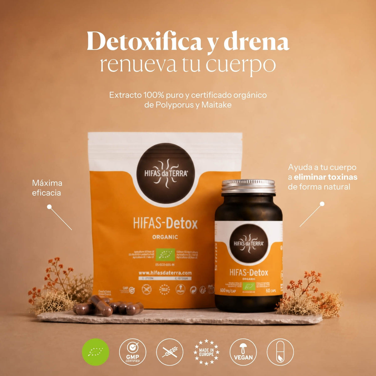 Modo de uso de Hifas-Detox | Hifas da Terra