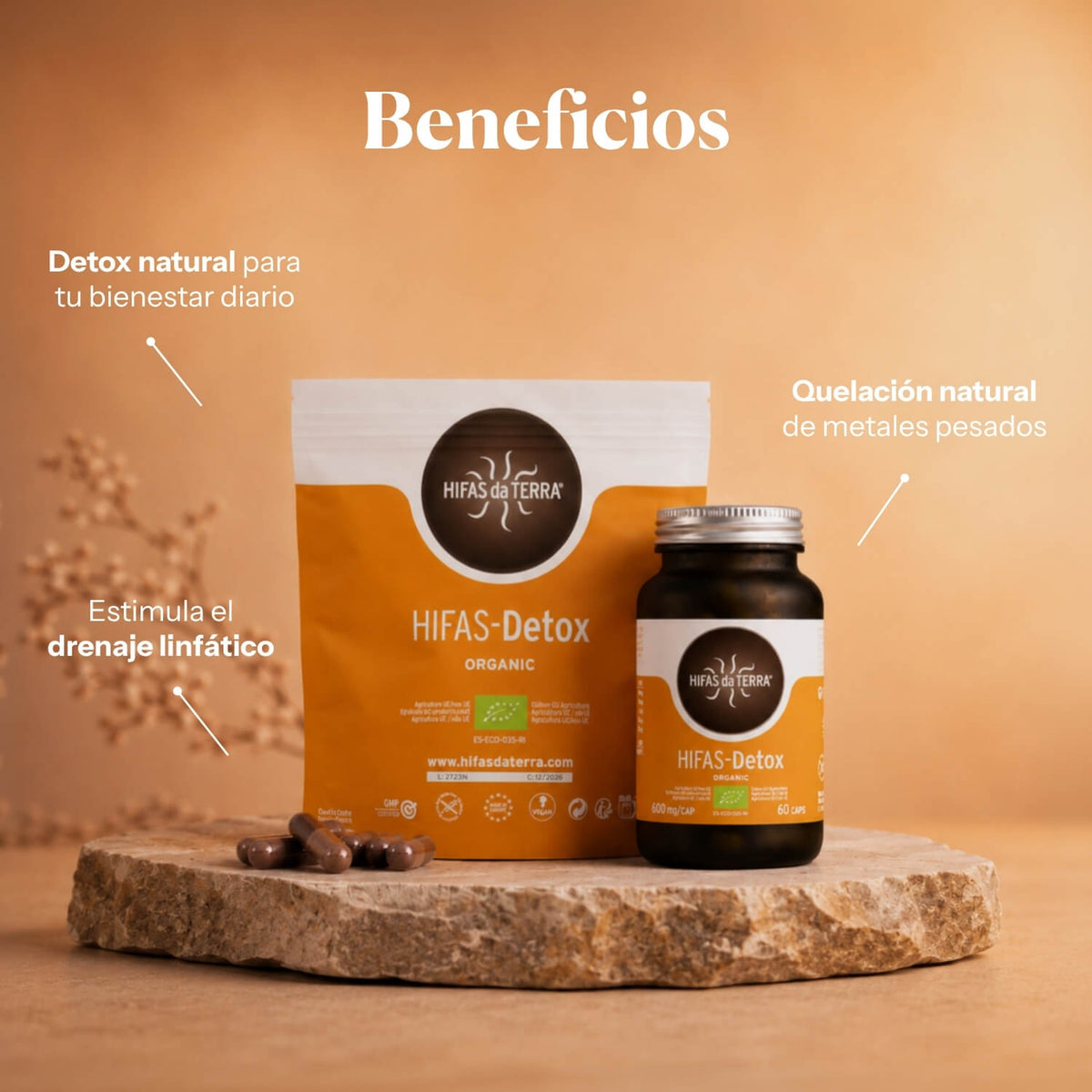 Beneficios de Hifas-Detox: complemento depurativo y detox | Hifas da Terra