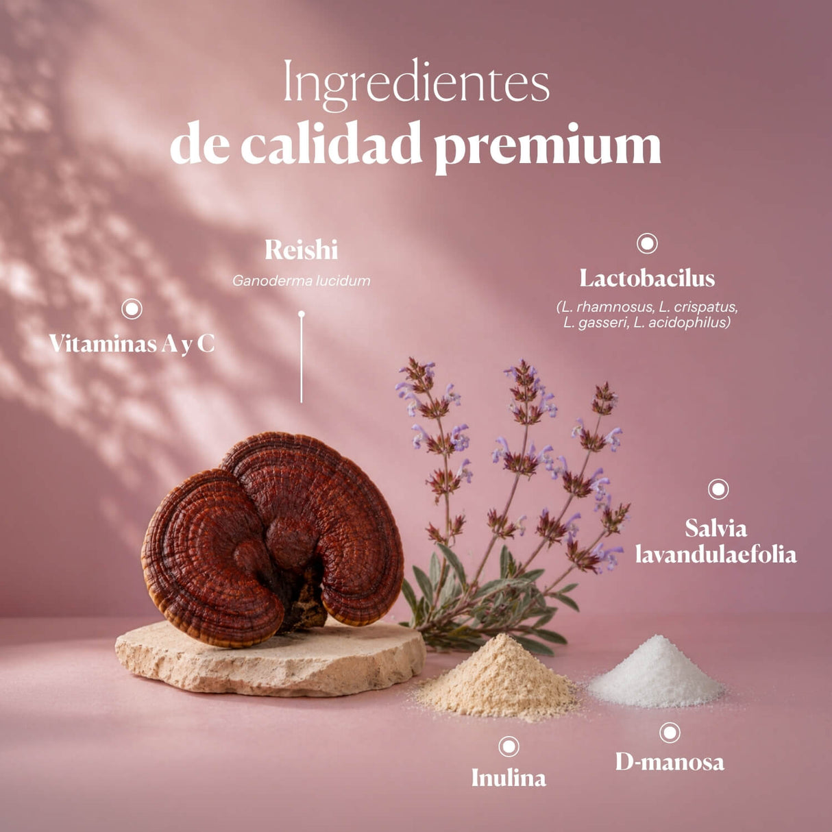 Hifas-Intima - Prébiotiques et probiotiques vaginaux 