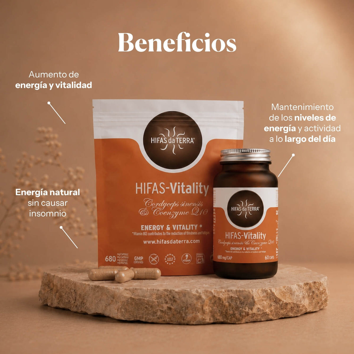 Bienfaits de Hifas-Vitality : complément contre la fatigue et pour l'énergie | Hifas da Terra