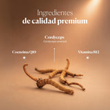 Composition et ingrédients de Hifas-Vitality | Hifas da Terra
