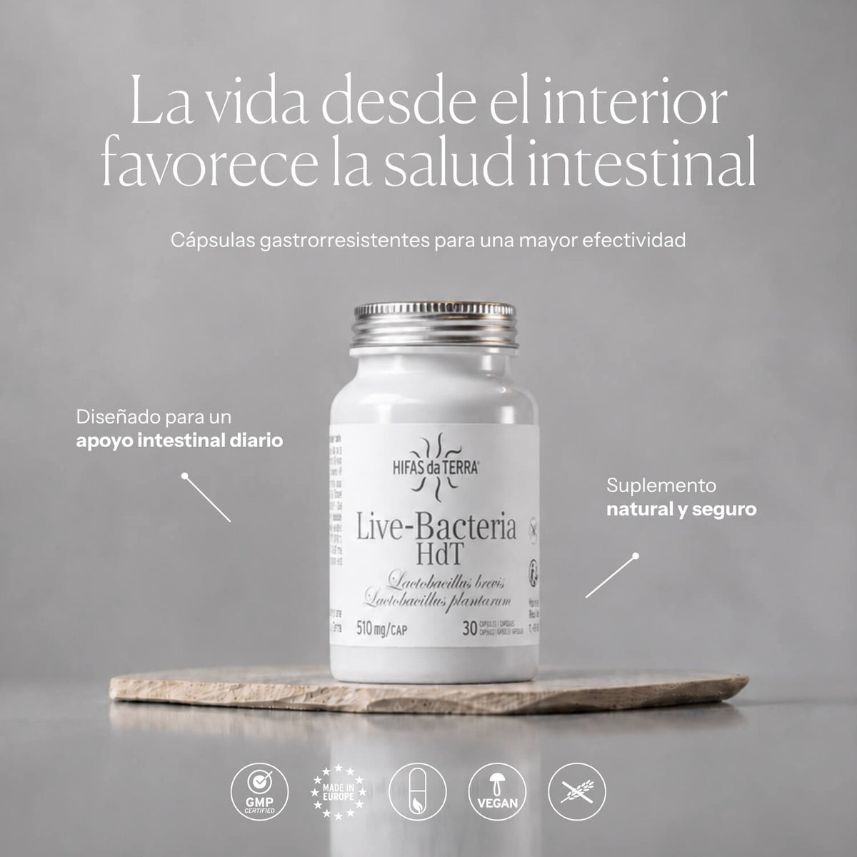 Modo de uso de Probióticos en cápsulas | Hifas da Terra