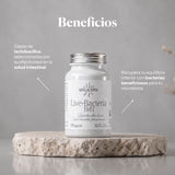 Beneficios de Probióticos en cápsulas: Lactobacillus brevis y L. plantarum para la flora intestinal | Hifas da Terra