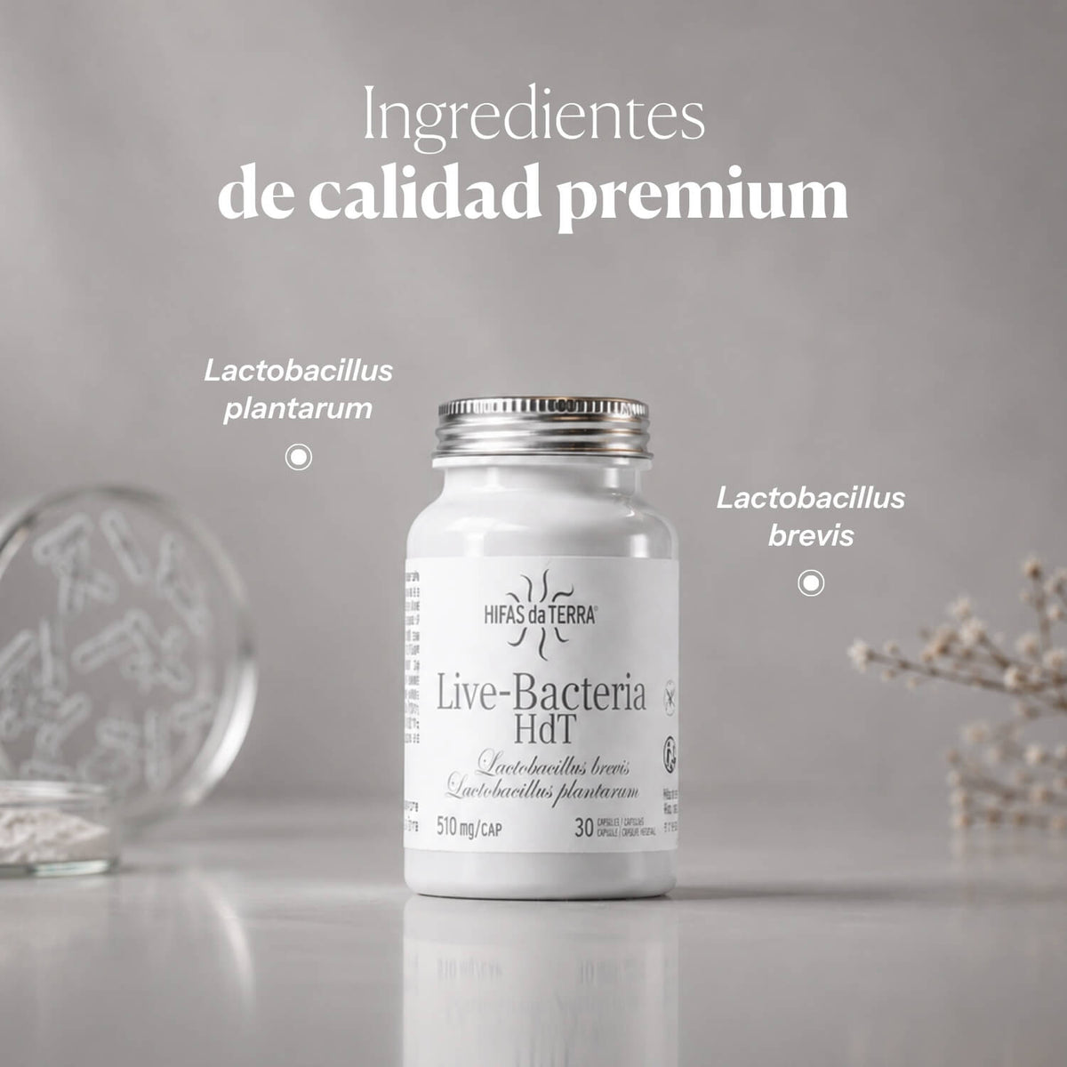 Composición e ingredientes de Probióticos en cápsulas | Hifas da Terra