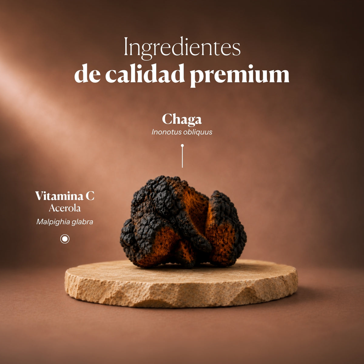 Composizione e ingredienti di Mico-Chaga | Hifas da Terra