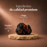 Composizione e ingredienti di Mico-Chaga | Hifas da Terra