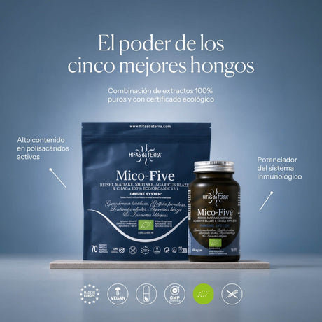 Mico-Five - Pilzkomplex aus Reishi, Shiitake, Maitake, Mandelpilz und Chaga