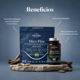 Mico-Five