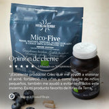 Mico-Five