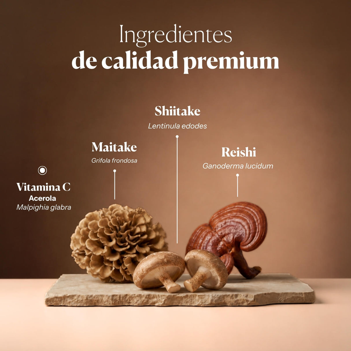 Mico-Mix 
