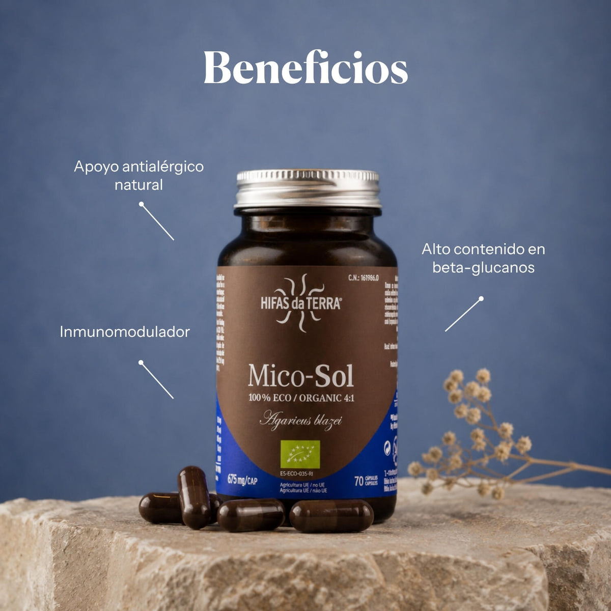 Mico-Sol