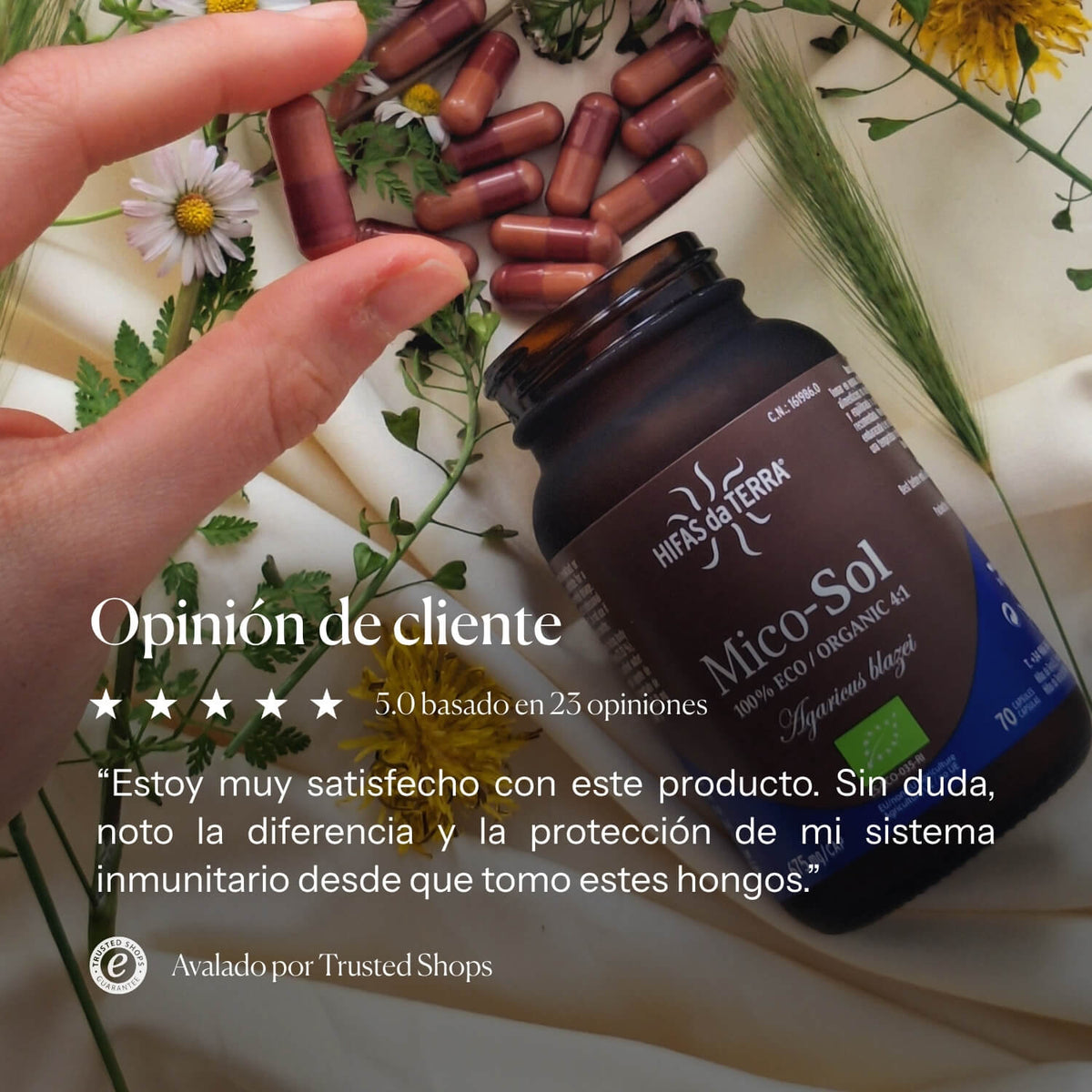 Mico-Sol