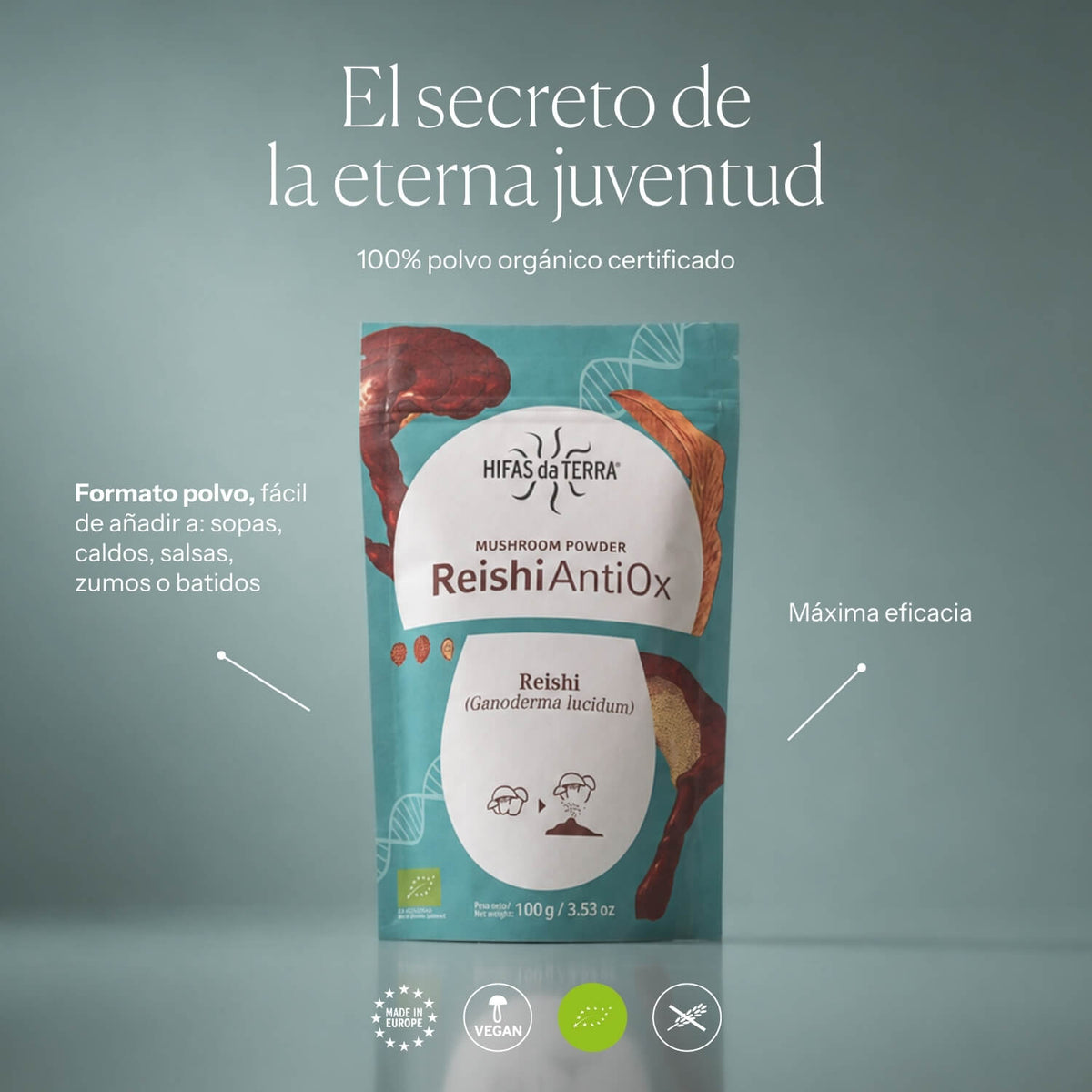 Reishi Antiox 100% Bio-Reishi-Pulver