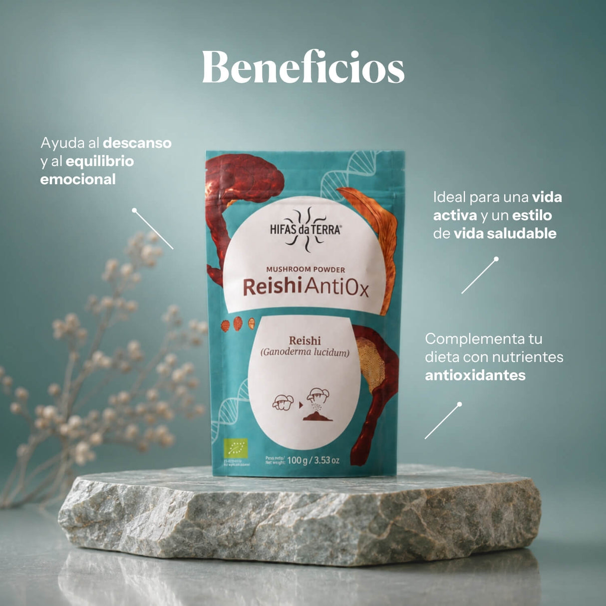 Reishi Antiox 100% Bio-Reishi-Pulver