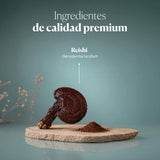 Reishi Antiox 100% Bio-Reishi-Pulver