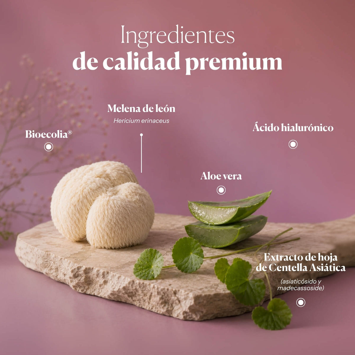 Hifas-INTIMA Vaginalgel