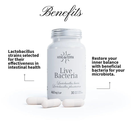 Live-Bacteria - Probiotika in Kapseln