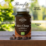 Mico-Chaga - Extrait pur & bio de Chaga