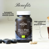 Mico-Five - Pilzkomplex aus Reishi, Shiitake, Maitake, Mandelpilz und Chaga