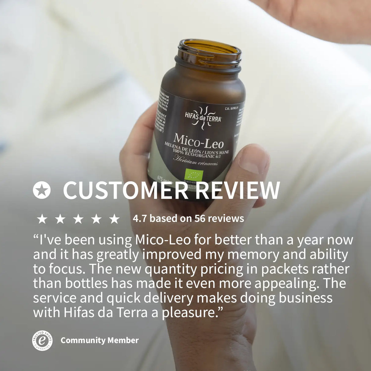 Mico-Leo - 100% Bio-Löwenmähne-Kapseln
