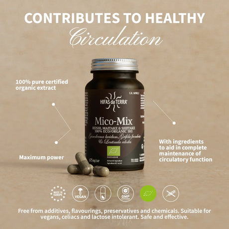 Mico-Mix - Pilzkomplex aus Reishi, Shiitake und Maitake