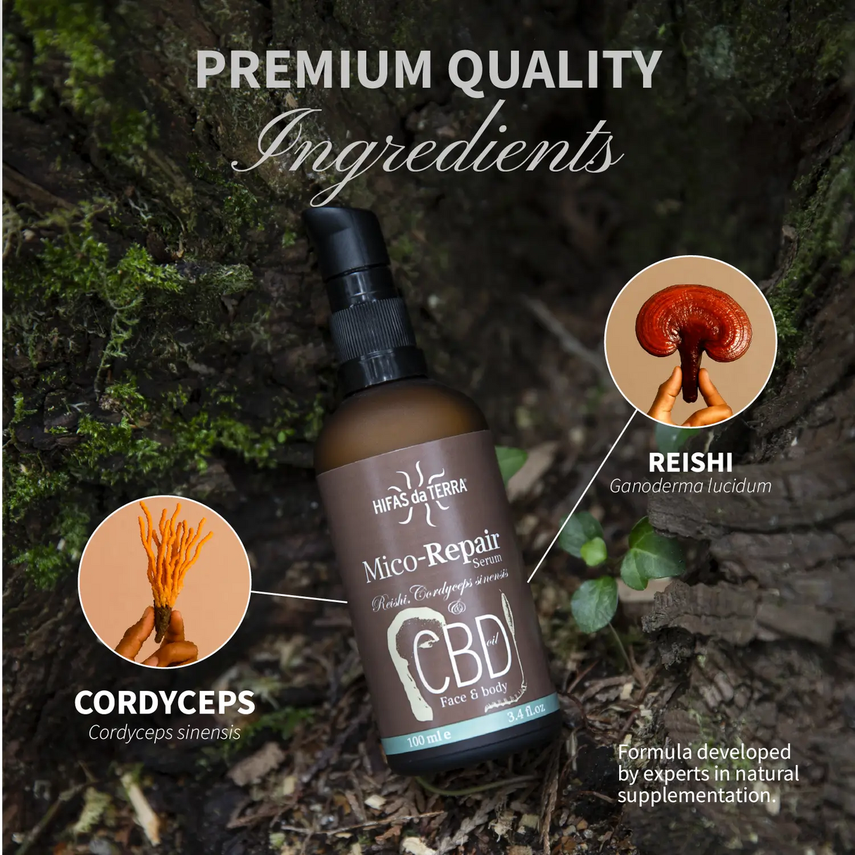 Mico-Repair - Serum mit Reishi und Cordyceps