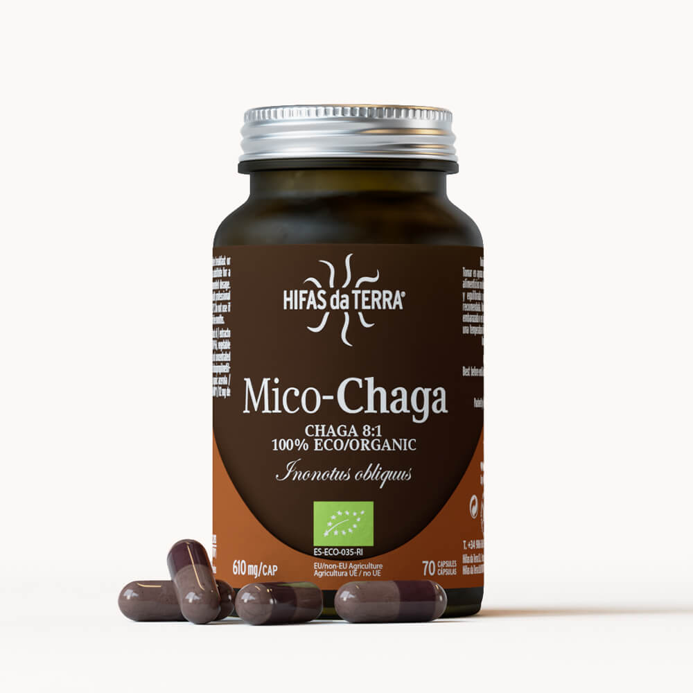 Mico-Chaga Reiner BIO-Chaga-Extrakt