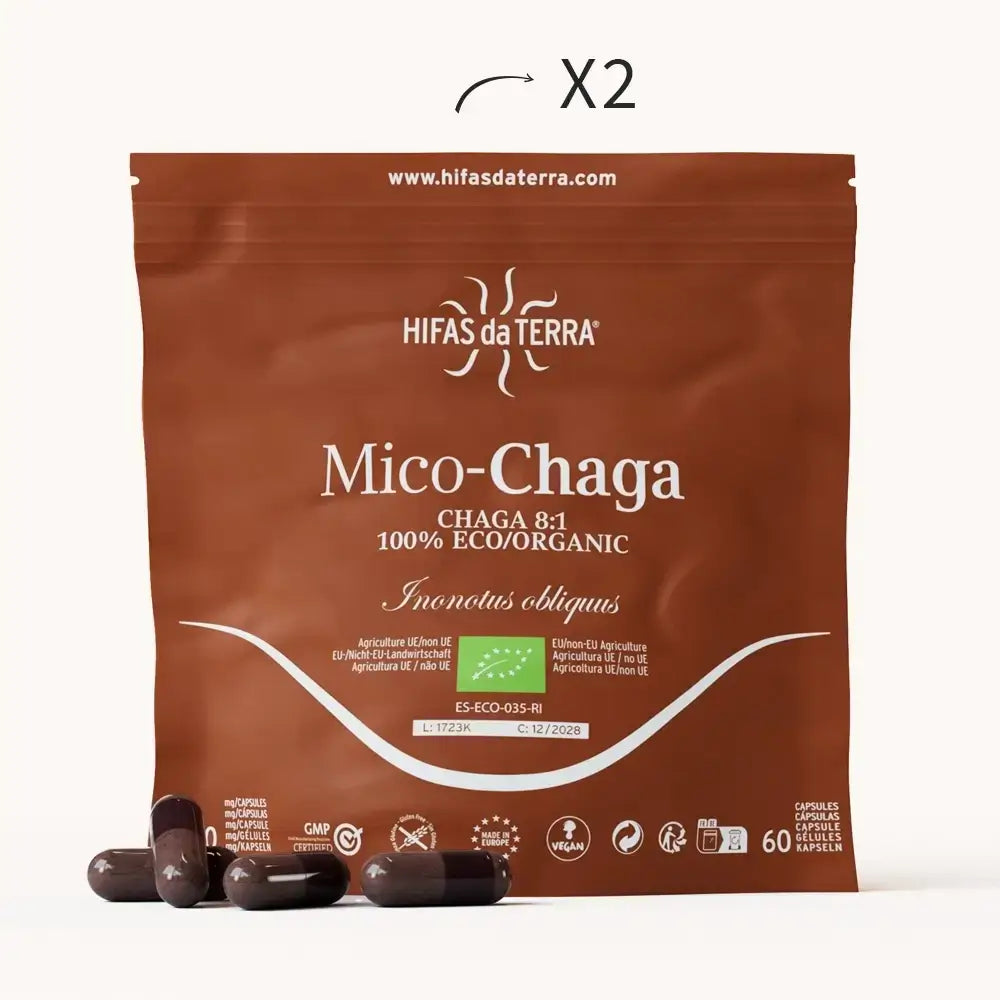 Mico-Chaga Reine Bio-Chaga-Kapseln