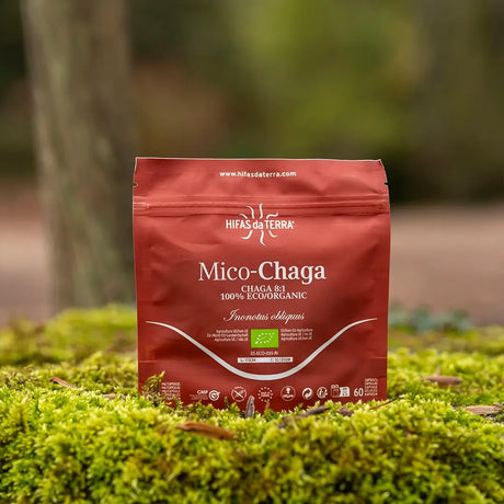 Mico-Chaga Reine Bio-Chaga-Kapseln