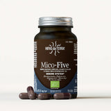 Mico-Five Extraits purs de Reishi, Shiitake, Maitake, Champignon du Soleil et Chaga