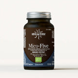 Mico-Five Extraits purs de Reishi, Shiitake, Maitake, Champignon du Soleil et Chaga