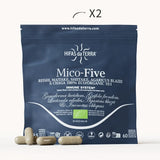Mico-Five Extraits purs de Reishi, Shiitake, Maitake, Champignon du Soleil et Chaga