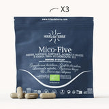 Mico-Five Extraits purs de Reishi, Shiitake, Maitake, Champignon du Soleil et Chaga