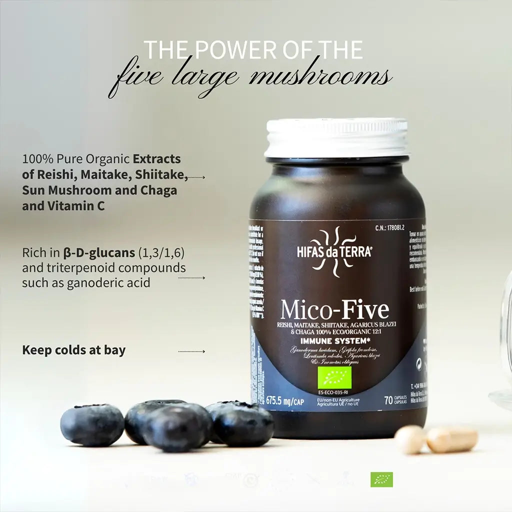 Mico-Five Extraits purs de Reishi, Shiitake, Maitake, Champignon du Soleil et Chaga