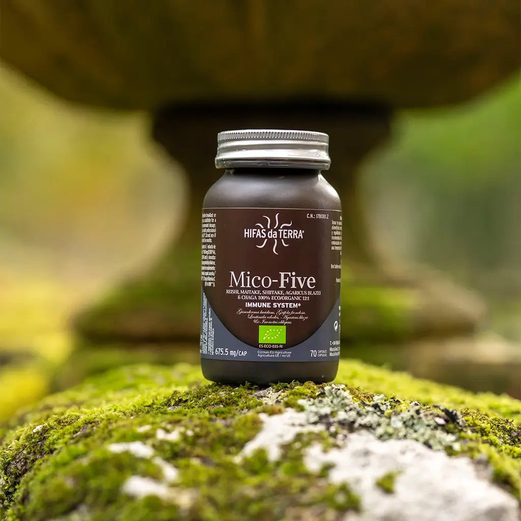 Mico-Five Extraits purs de Reishi, Shiitake, Maitake, Champignon du Soleil et Chaga