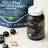Mico-Five Extraits purs de Reishi, Shiitake, Maitake, Champignon du Soleil et Chaga