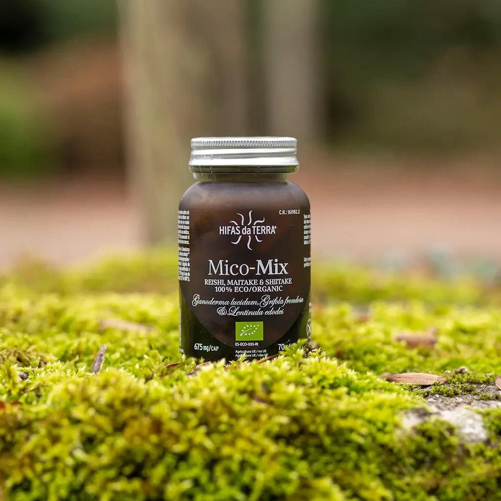 Mico-Mix - Pilzkomplex aus Reishi, Shiitake und Maitake