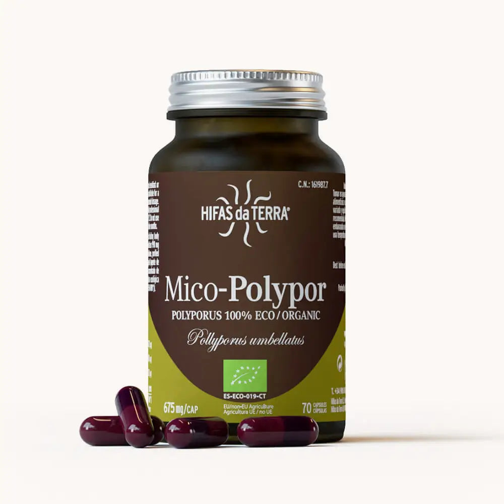Mico-Polypor Reiner BIO-Extrakt aus Eichhase
