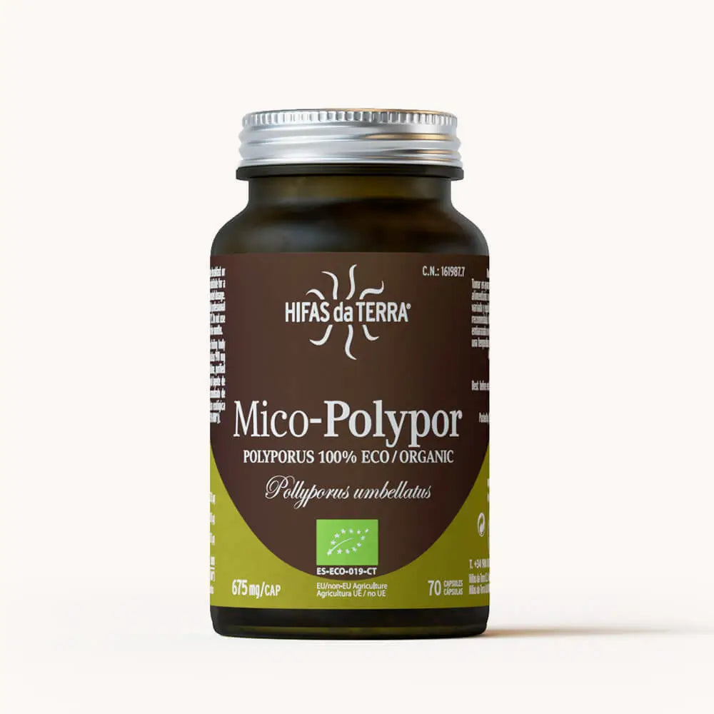 Mico-Polypor Reiner BIO-Extrakt aus Eichhase