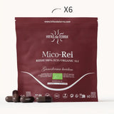 Mico-Rei - Extrait pur & bio de Reishi